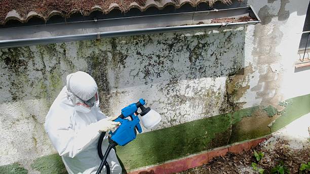 Top rated local Commercial Mold Remediation specialists in White Stone, VA